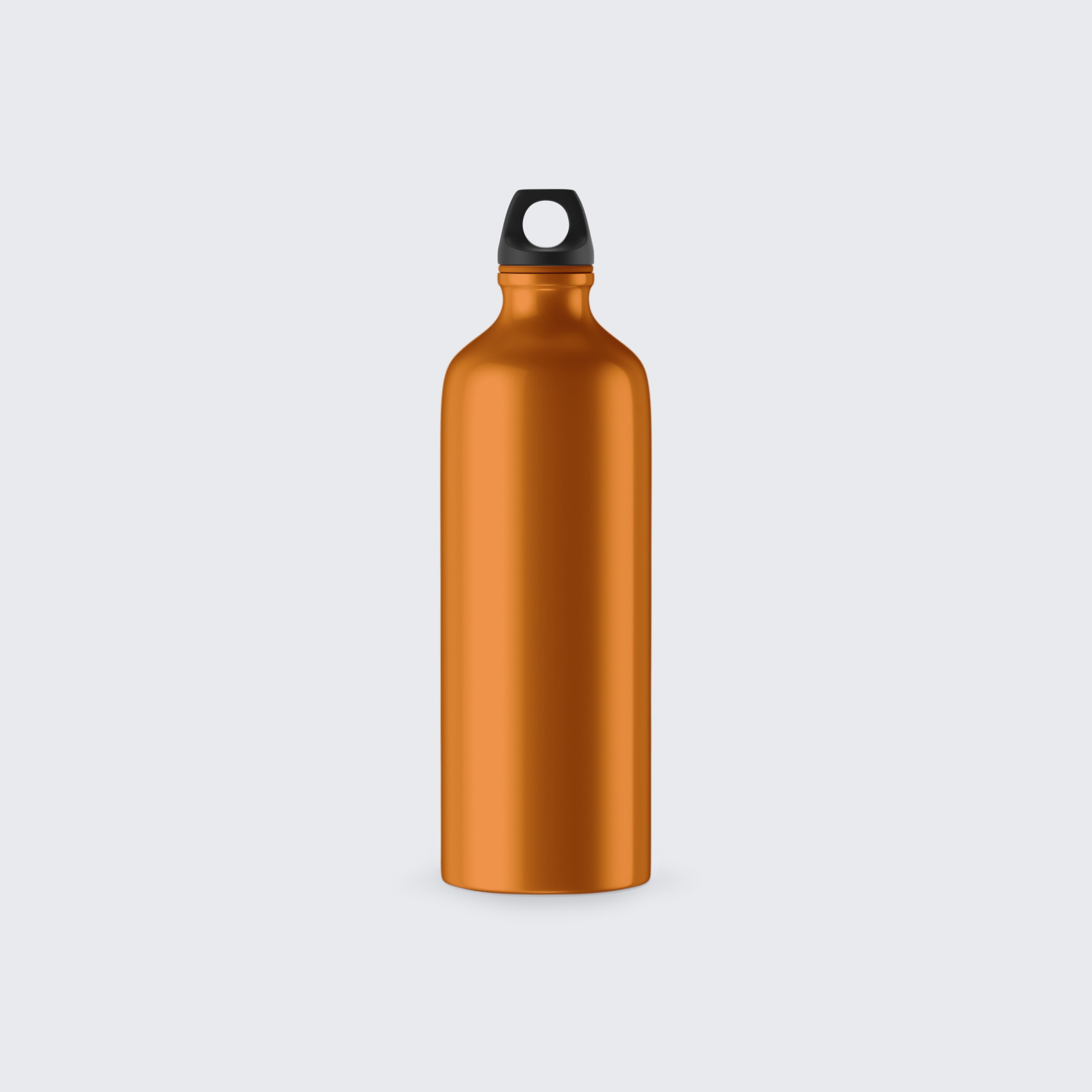 Stainless Steel Water Bottle 2